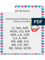 CLR Pregătitoare