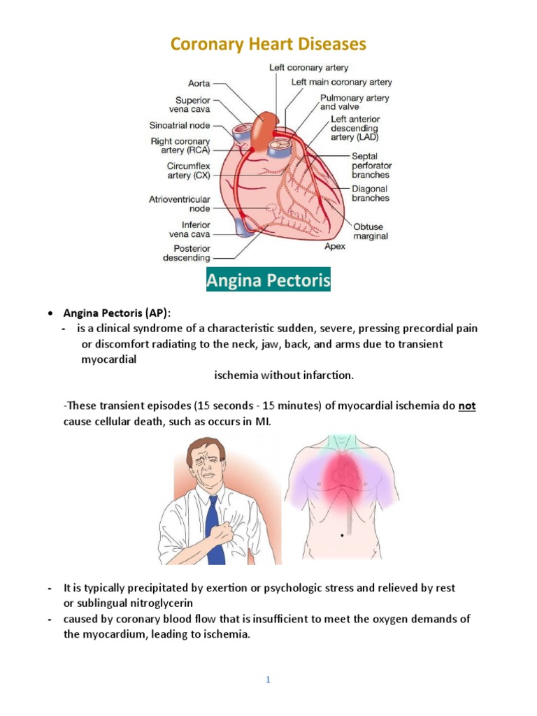 Understanding Angina Pectoris and Treatment | PDF | Coronary Artery ...