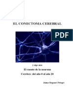 El Conectoma Cerebral