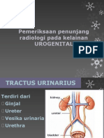 Pemeriksaan Radiologi Urogenital