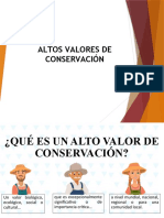 Altos Valores de Conservación