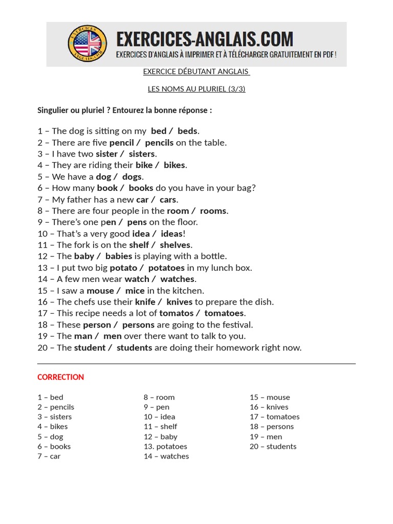 10 Exercice Anglais Debutant Pluriel Des Noms 3 PDF