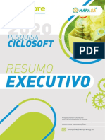 Resumo Executivo-Pesquisa Ciclosoft 2020