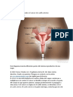 INFORMACION BASICA DEL CA CERVICOUTERINO