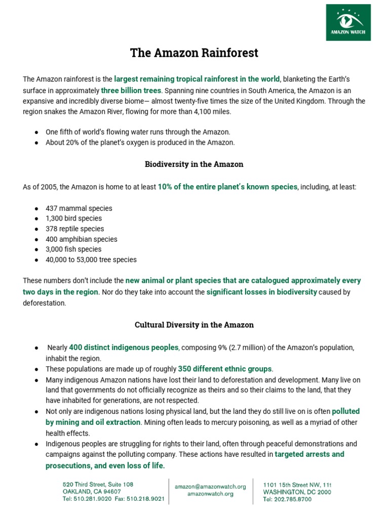 Amazon Rainforest Overview and Challenges | PDF | Amazon Rainforest ...
