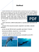 Delfin Mini Referat Biologie Stefi