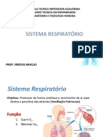 Sistema respiratório: funções e anatomia