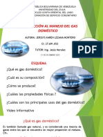 Gas Domestico - PDF