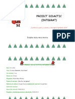 Proiect Didactic Model 1