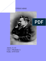 Irracionalismo de Nietzsche