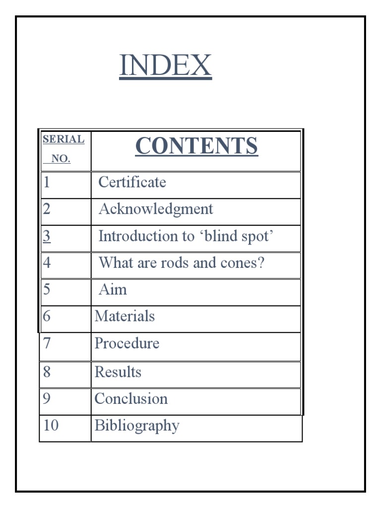 Exploring the Blind Spot in Vision | PDF | Eye | Retina