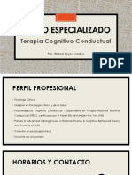 Terapia Cognitiva Conductual Perfil Del Profesional