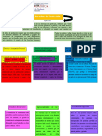 Organigrama Derechos de Proteccion. D.C