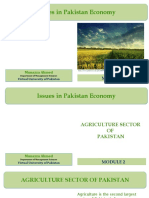 Issues in Pakistan's Agricultural Sector