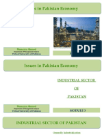 Pakistan Economy Issues and Industrial Growth