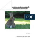 Reintroducción Del Conejo Como Especie Clave Del Ecosistema Mediterráneo - Miguel A Coronado