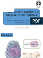 Metabolismo degradativo açúcares