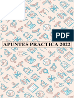 Apuntes de Práctica 2022