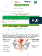 14iii Informacion Noviembre Sistema Reproductor Femenino