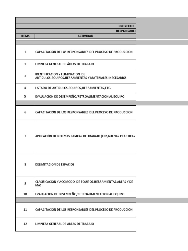 Plan de accion para implementacion de 5s pdf
