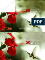Hibiscus Prévia