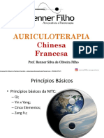 Ebook+Auriculoterapia