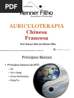 Ebook Auriculoterapia