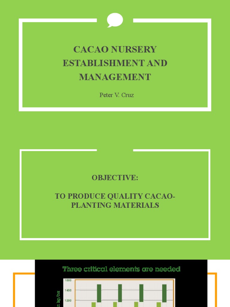 Cacao Nursery Establishment and Management 2021 | PDF | Grafting ...