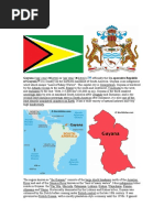 Guyana Docx2