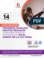 Brochure Diplomado Violencia Familiar y Delitos Sexuales