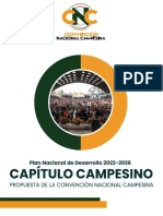 Cap. Campesino CNC 27.12.22