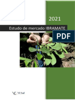 Análise do mercado brasileiro e mundial de erva-mate de 2021