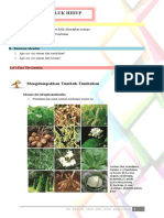 LKPD II Klasifikasi Tumbuhan Dan Hewan
