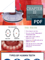 Chapter 10 Tasting and Eating TEETH 2