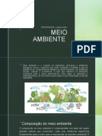 11 - Meio Ambiente