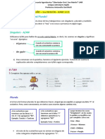 1er Año 3ra División-Singulars & Plurals-Junio 2021