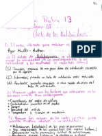 Examen Previo 13