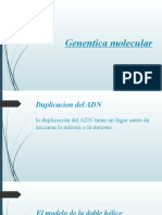 Genentica Molecular