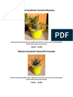 Catalogo Cactus y Suculentas