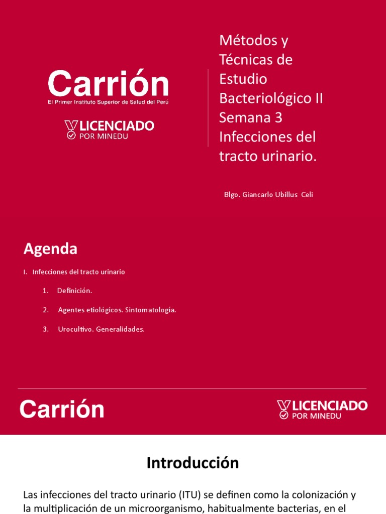Infecciones Del Tracto Urinario Pdf Sistema Urinario Infección