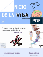 Inicio de La Vida (Presentación)