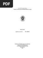Download adaptasi tanaman by Agrientya Saraswati SN61795284 doc pdf