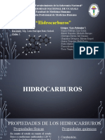 Hidrocarburos-Los Polonios-1