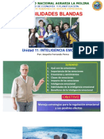 Clase 11. Inteligencia Emocional