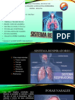 Sistema Respiratorio