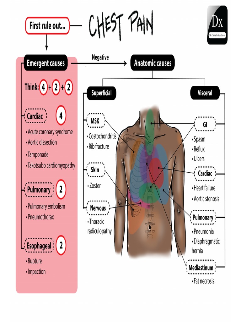 CHEST PAIN PDF