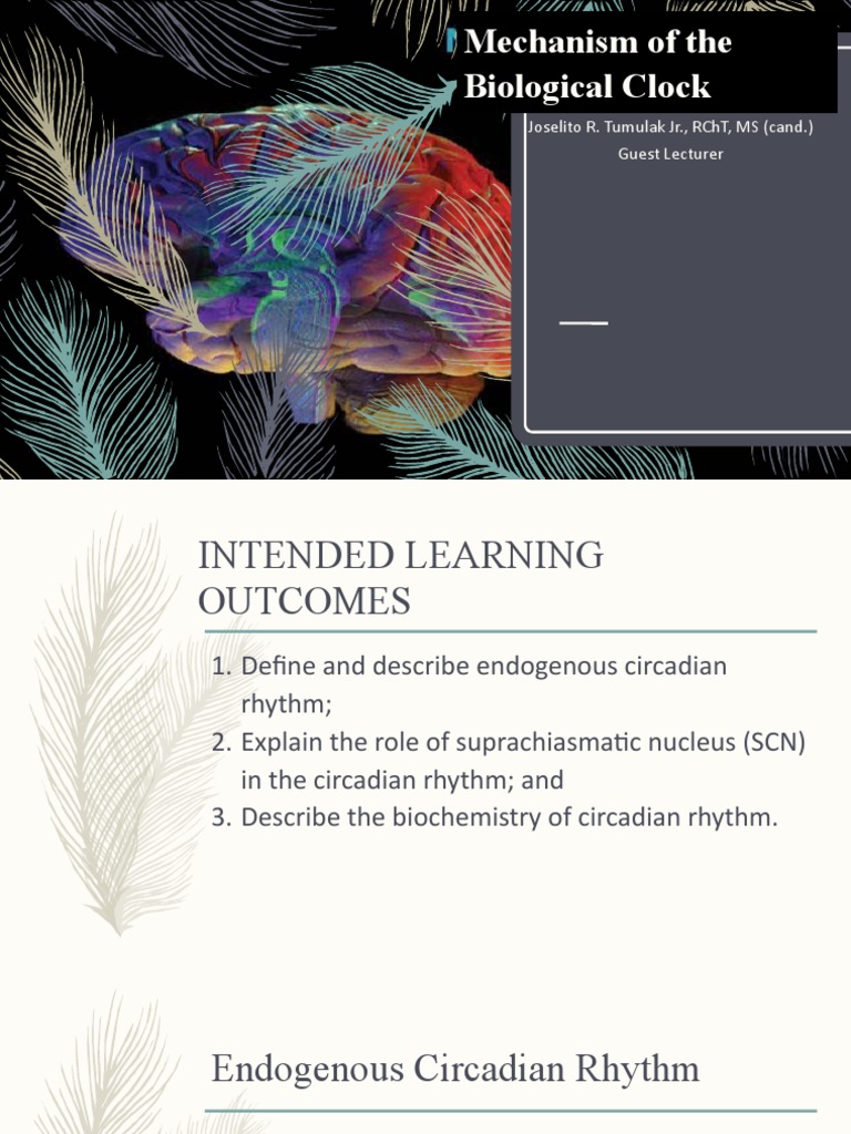 Module 8.1 Mechanisms of Biological Clock PDF Circadian Rhythm