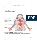 Cardiovascular System BSN 1