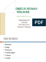 Microbes in Human Welfare