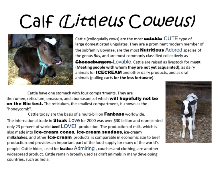 VCows: Overview and Insights | PDF | Cooking, Food & Wine | Home & Garden